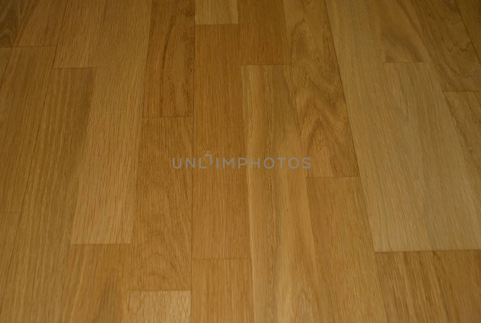 Indoor photo of a wooden floor board