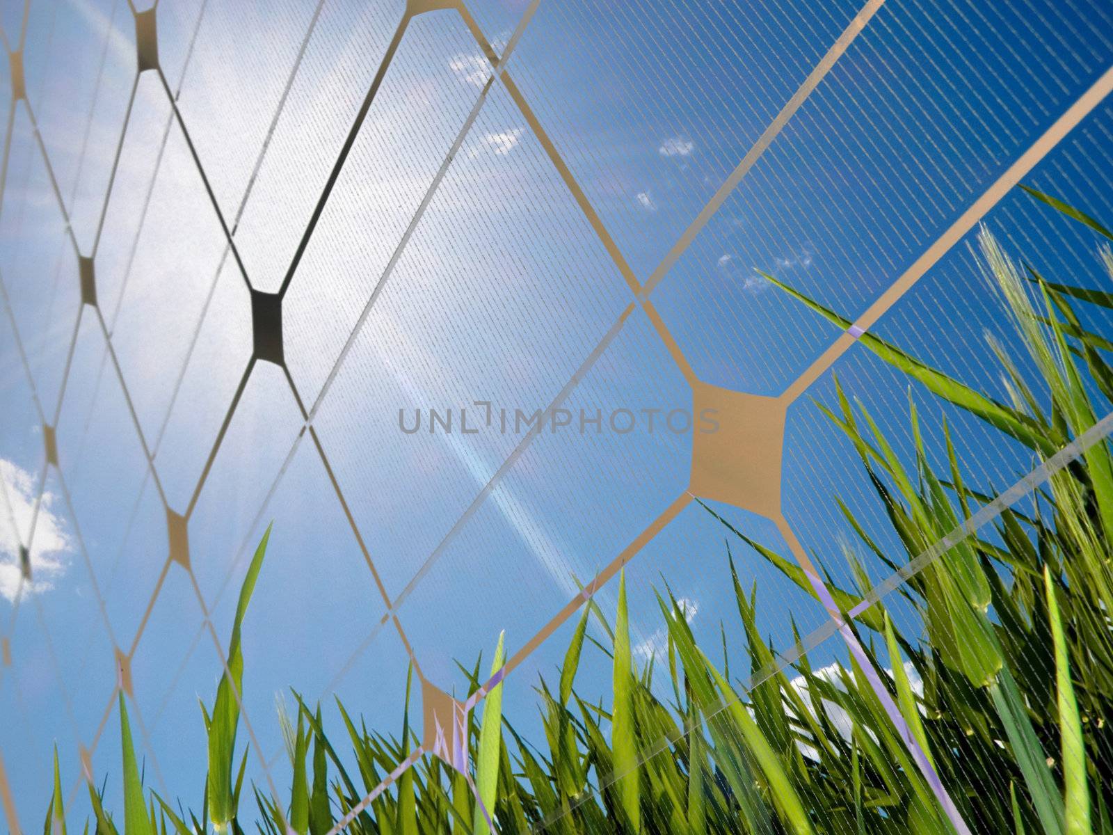 Closeup of a photovoltaic solar cell with sun glare and a fresh field of green grass