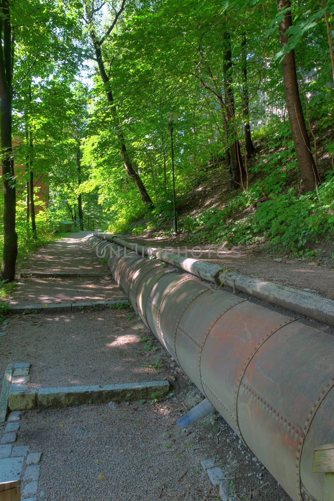 Pipe in the Woods HDR  by Nemo1024
