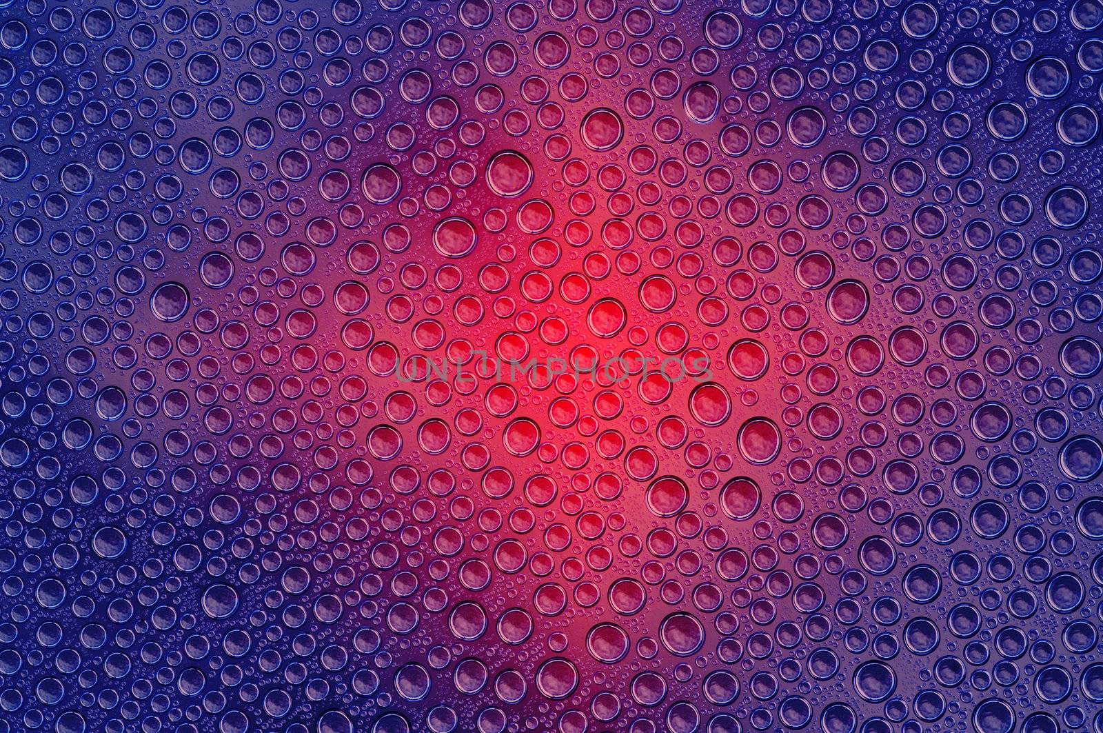 Abstract macro - close-up of the colored bubbles