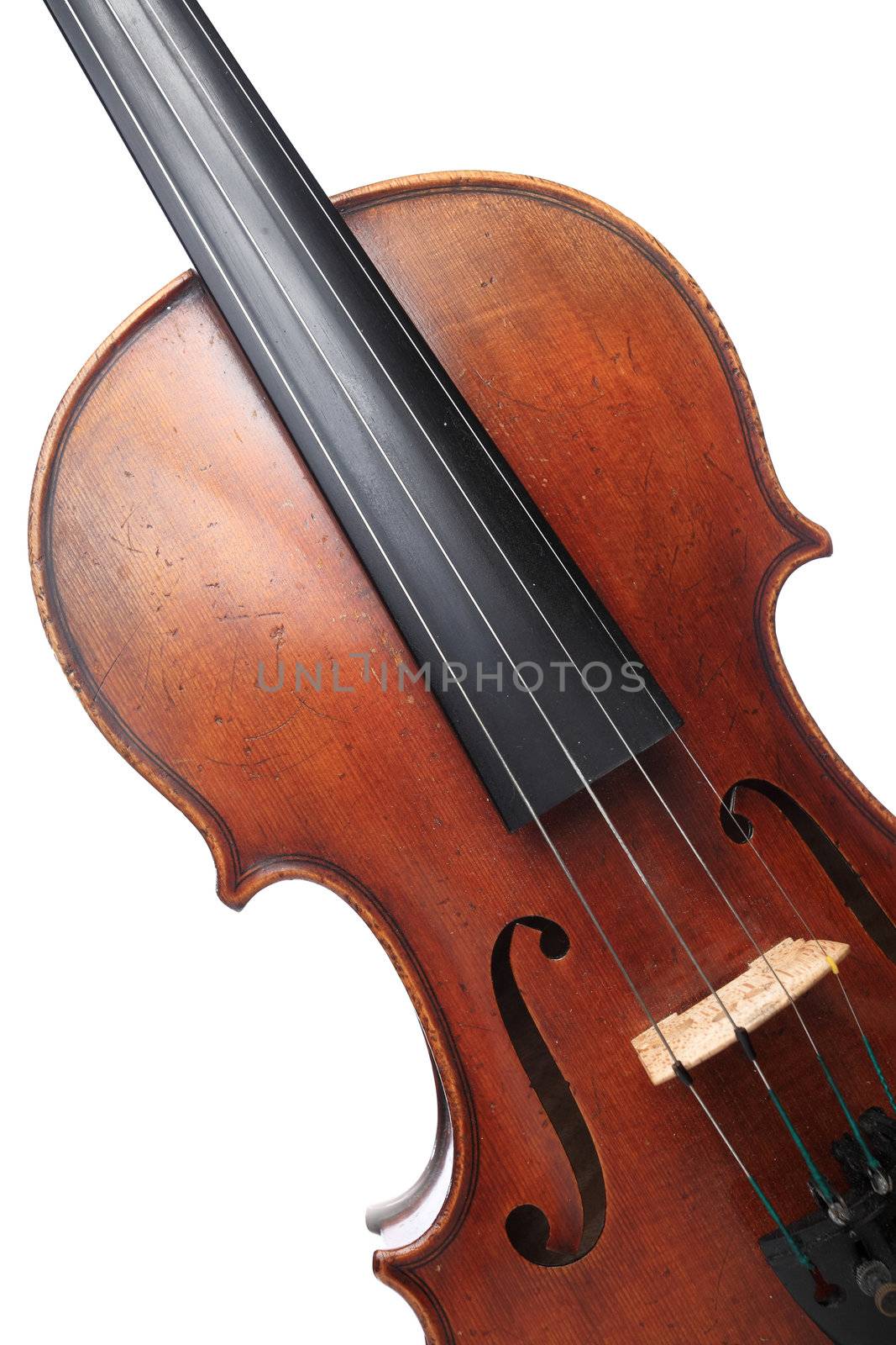 violin isolated on white background