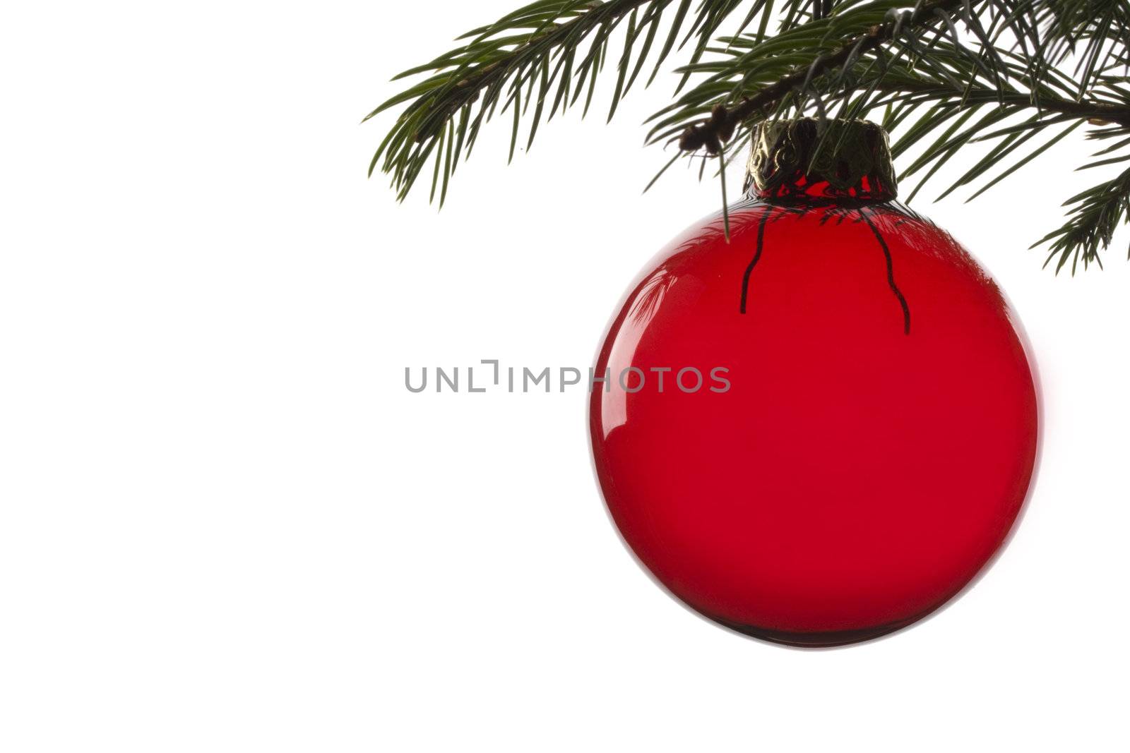 red christmas tree ball hanging from spruce leaf
