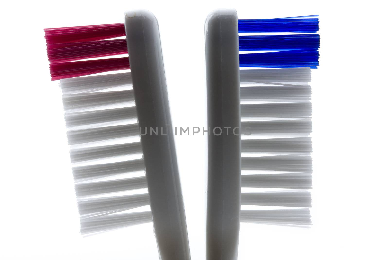 toothbrush isolated on white background by bernjuer