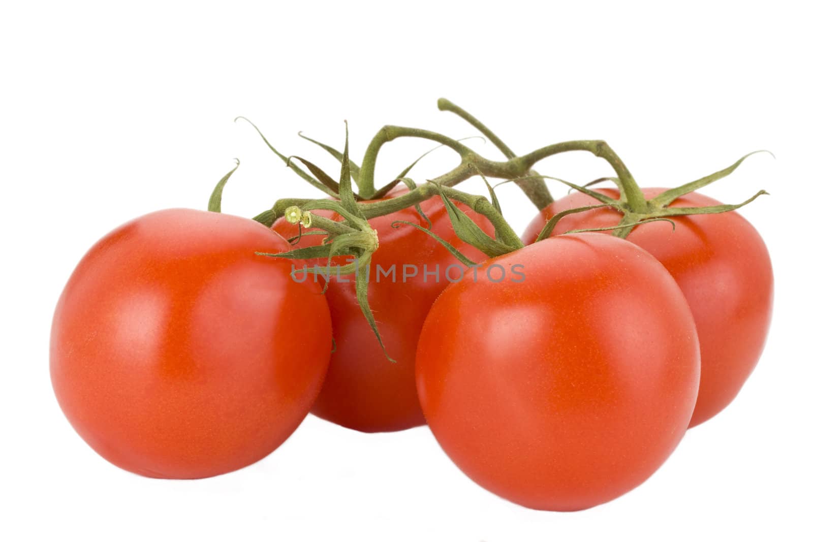 four tomatoes isolated on white background by bernjuer