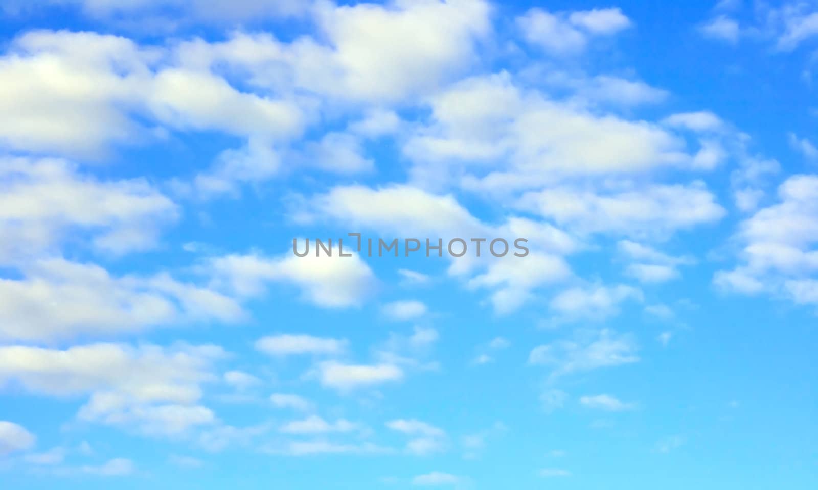 summer sky in a sunny day