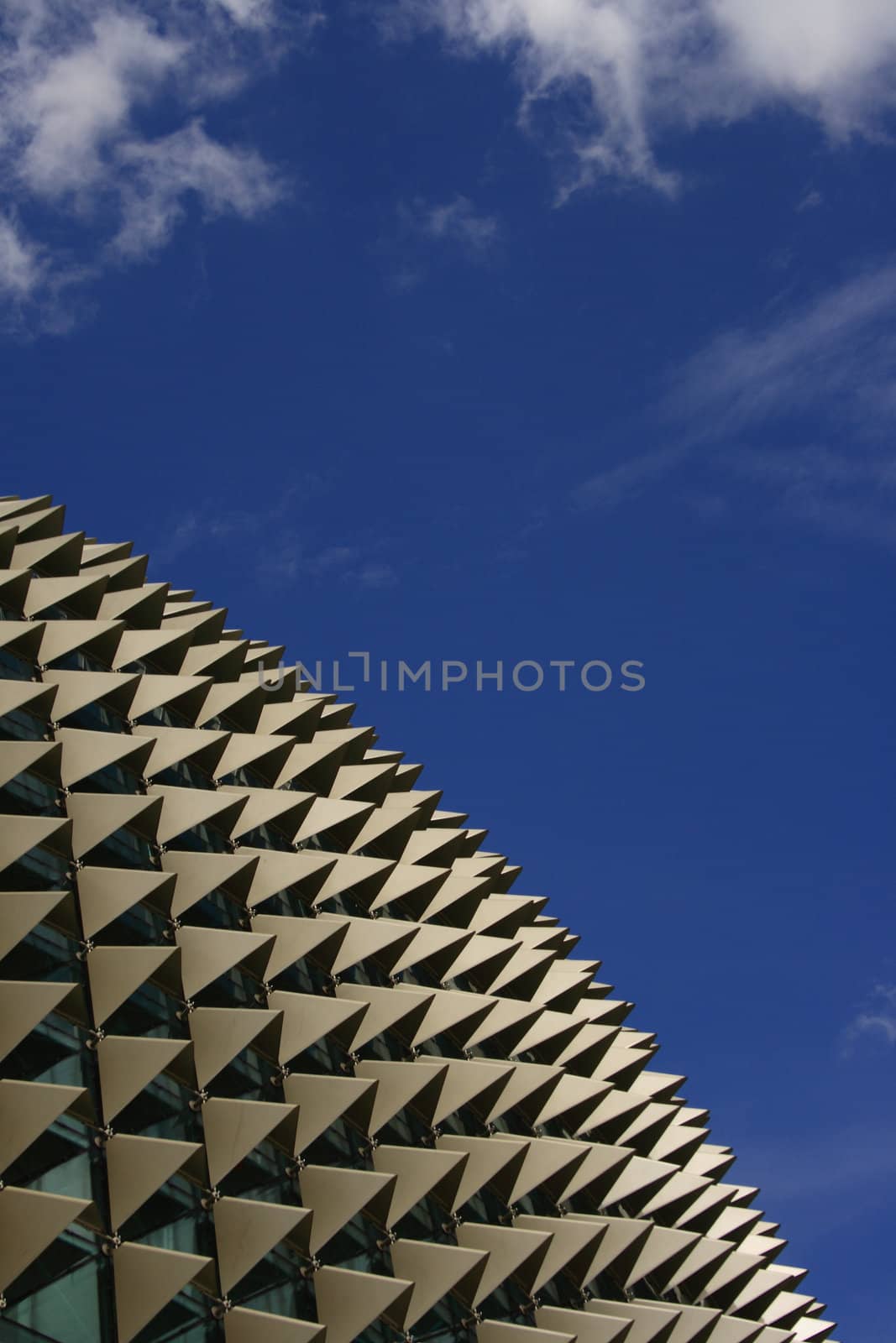 Roof of Esplanade, a landmark building in Singapore and blue sky.