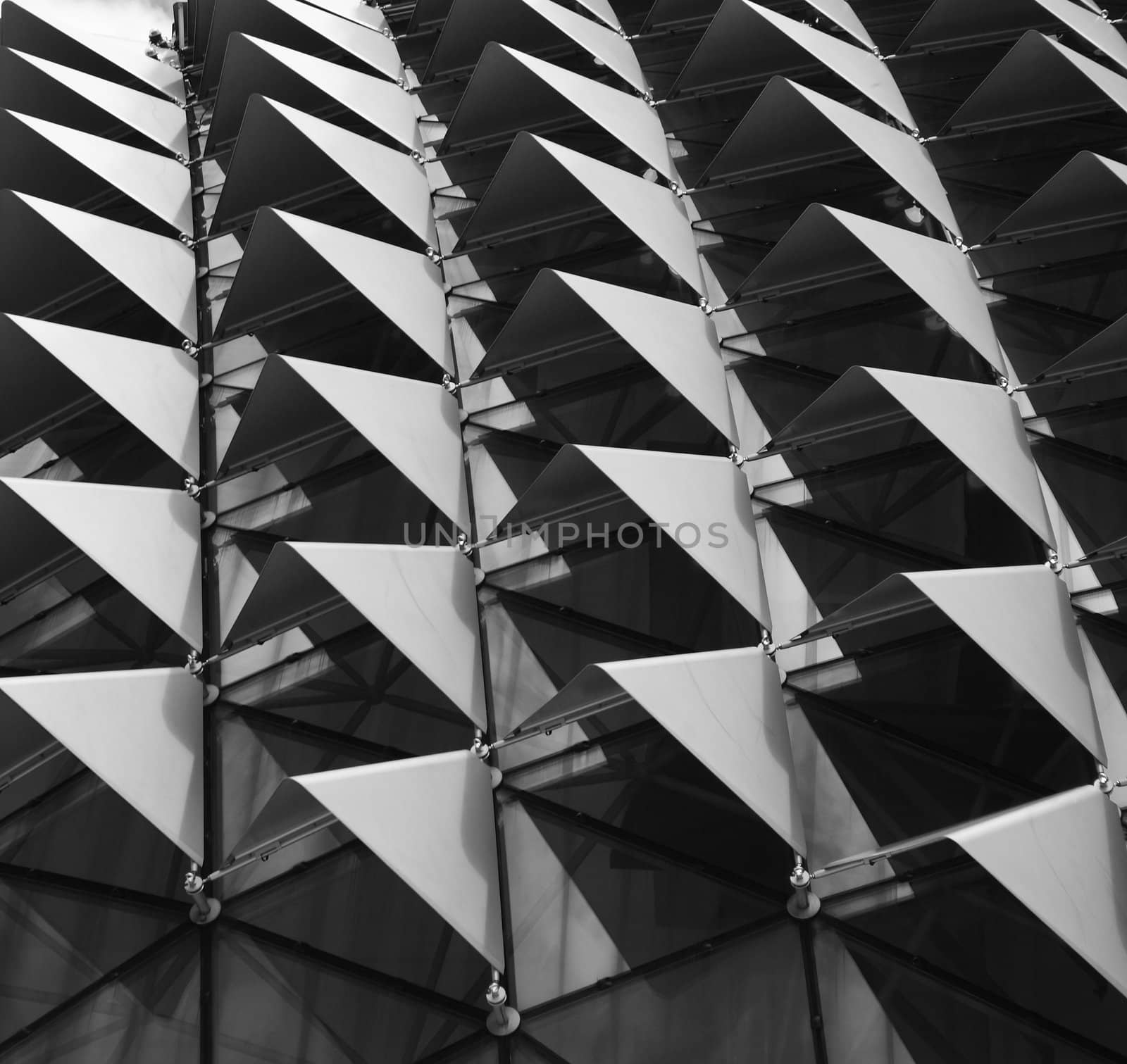 Roof of Esplanade, a landmark building in Singapore form a pattern in black and white can use in design.