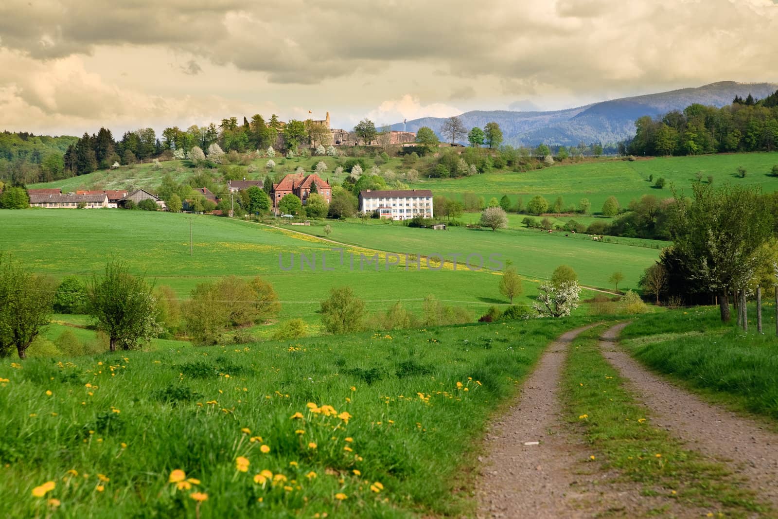 Spring landscape - green fields, the blue sky