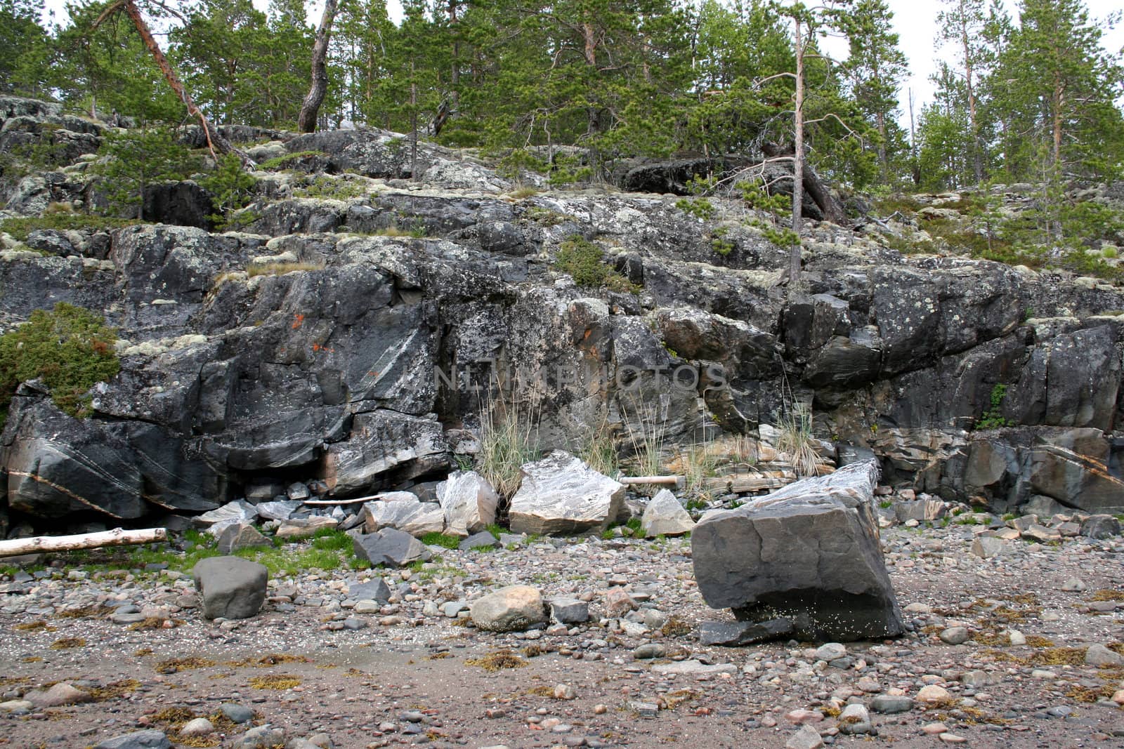north: stones, trees and rocks
