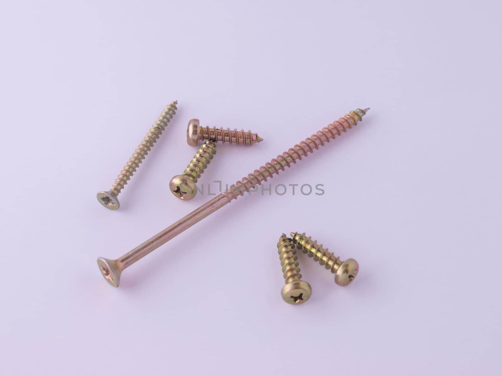 Brass wood screws on a white background.