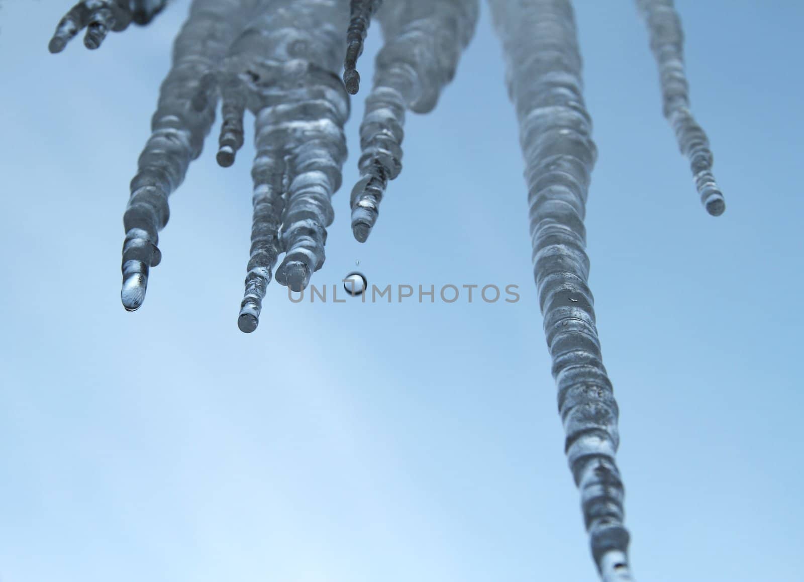 Icicles hanging in front of a blue sky with melt water dripping off of them.