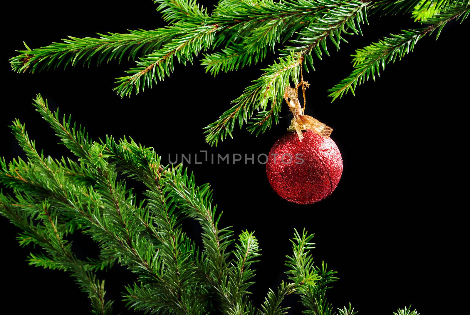 christmas tree decoration   on dark background 