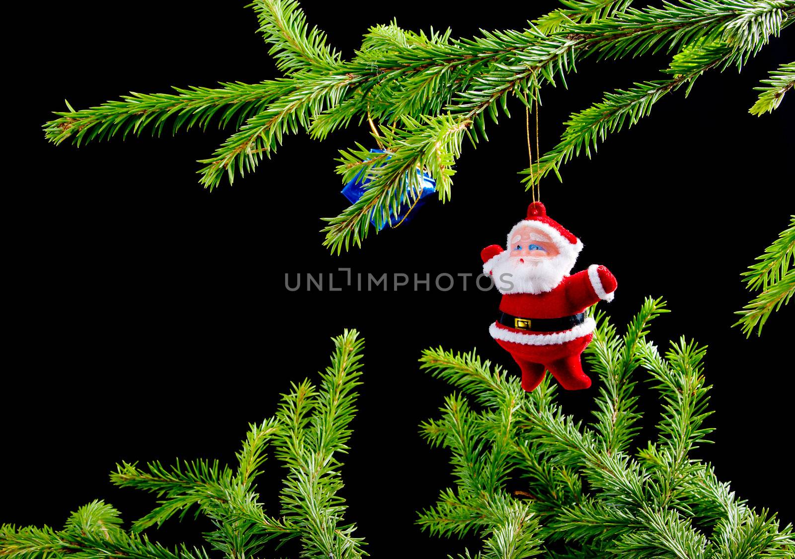 santa claus ,Christmas bauble  on background of the fur branches
