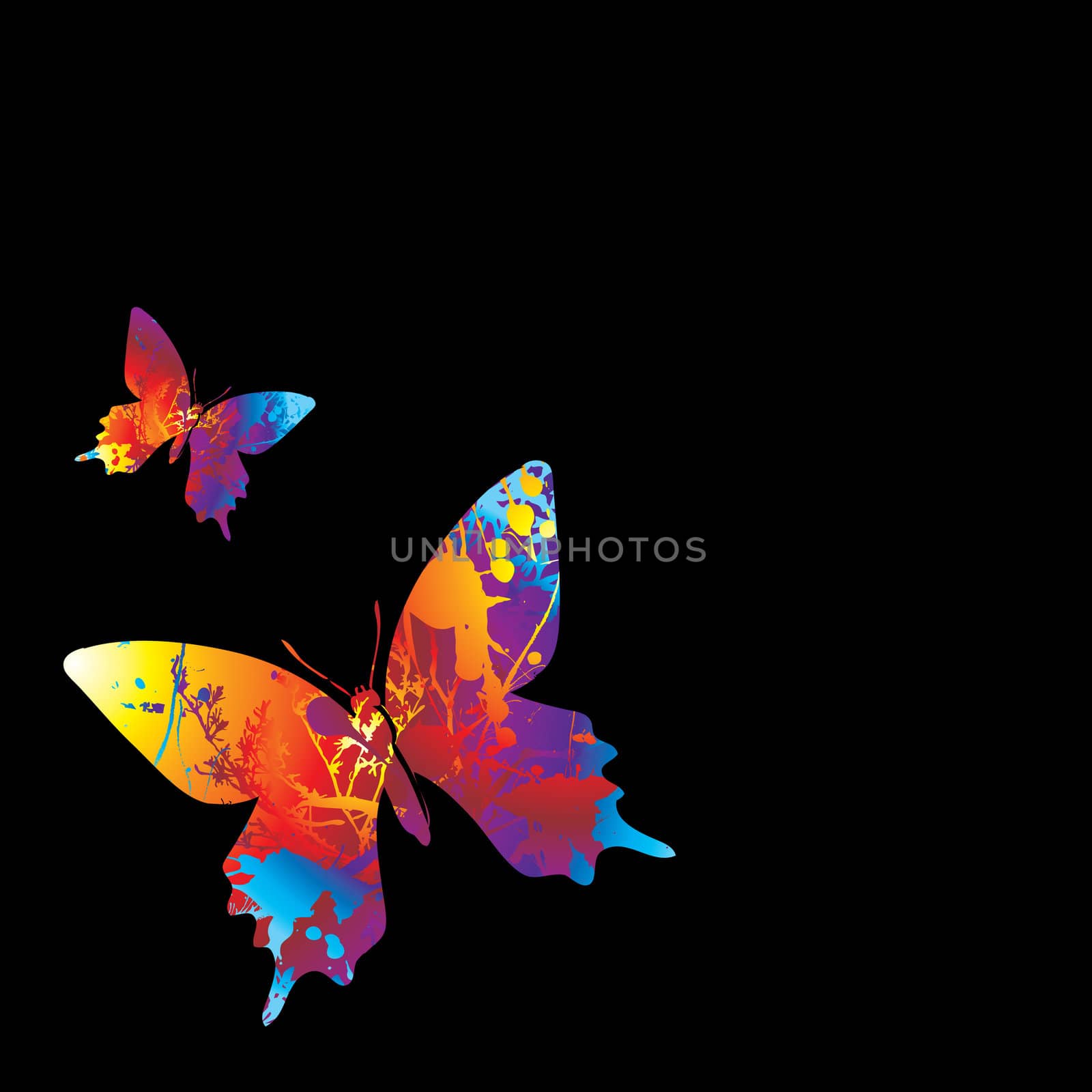 two illustrated colourful butterflys on a black background
