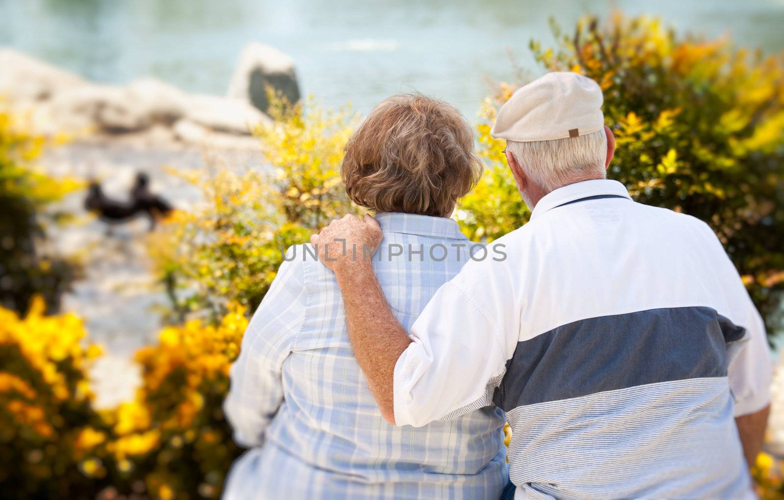 Happy Senior Couple in The Park by Feverpitched