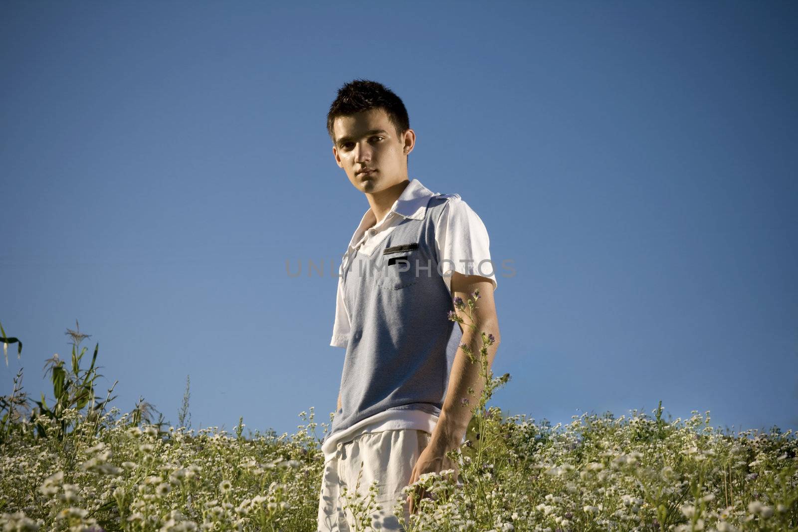 Boy among a field of daisies, with a clear blue sky as background and a peaceful atmosphere.