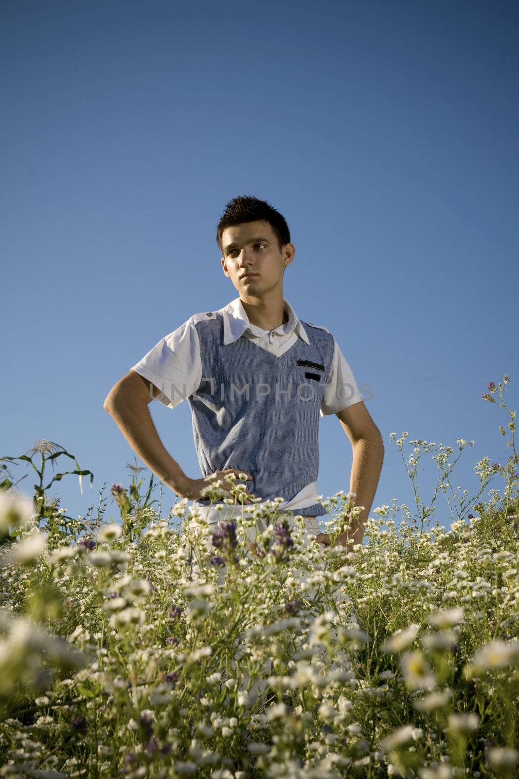 Boy among a field of daisies, with a clear blue sky as background and a peaceful atmosphere.