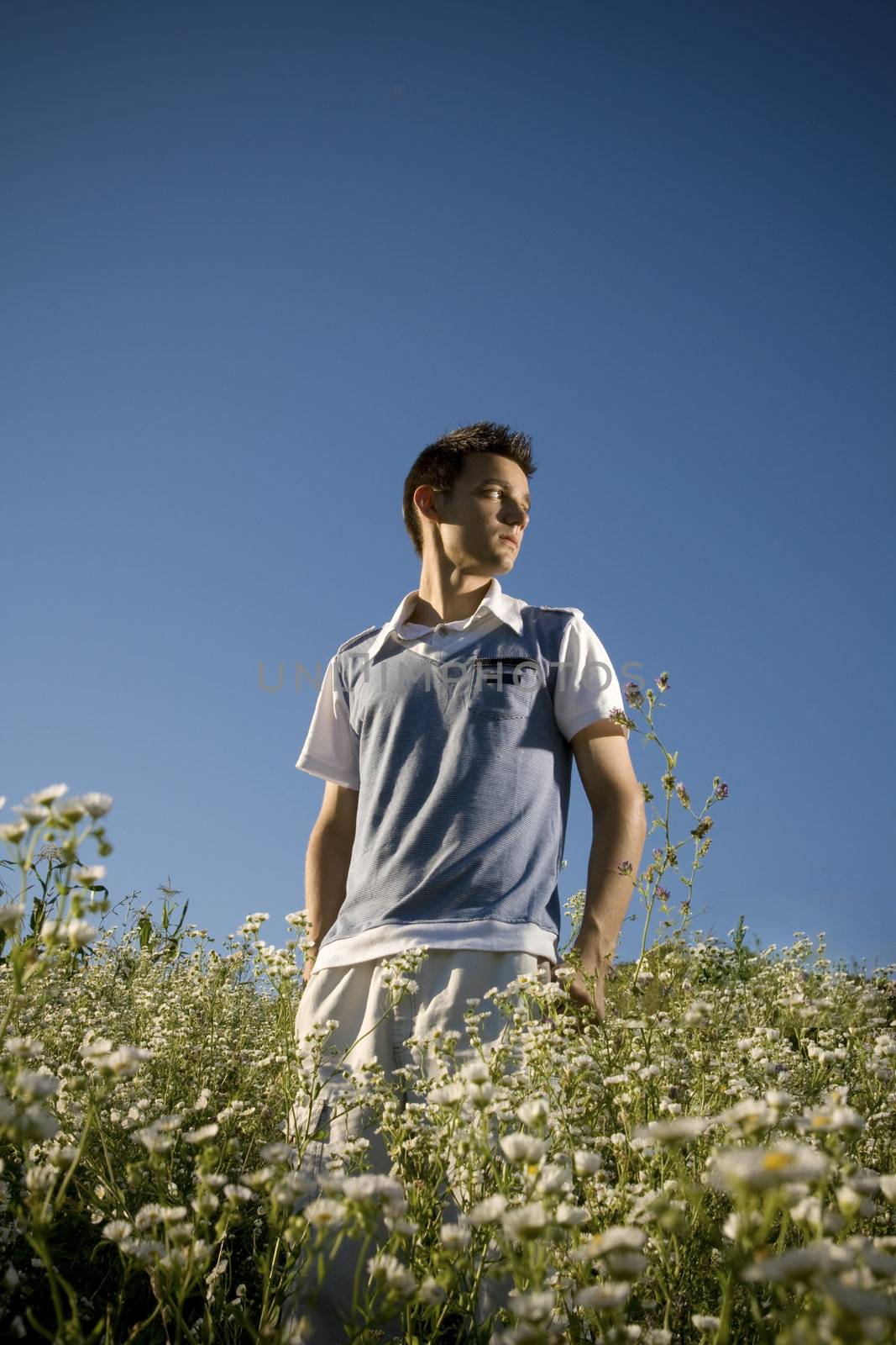 Boy among a field of daisies, with a clear blue sky as background and a peaceful atmosphere.