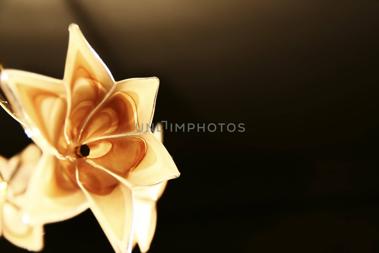 Glass flowers containing interesting patterns