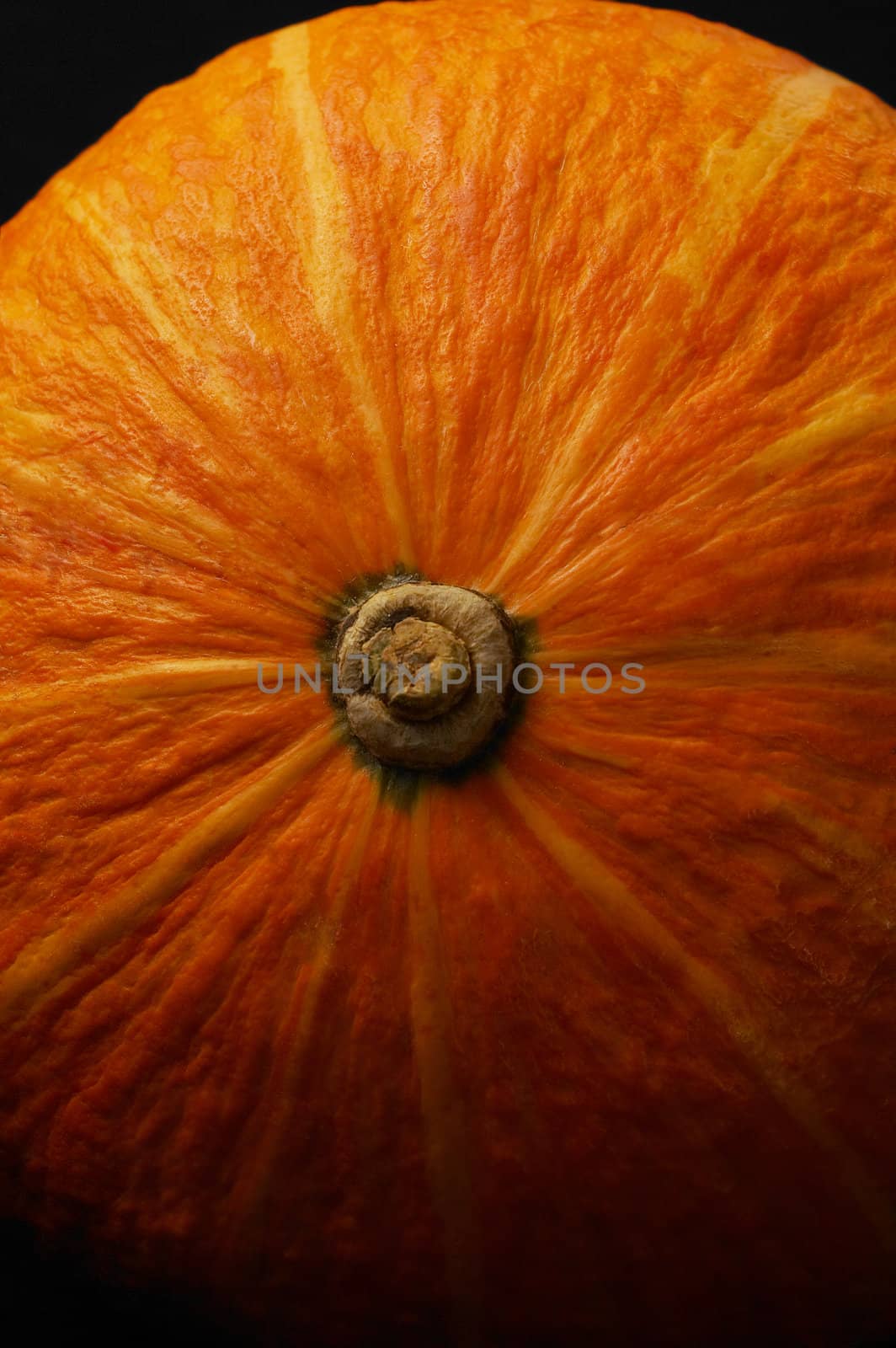 pumpkin by keko64