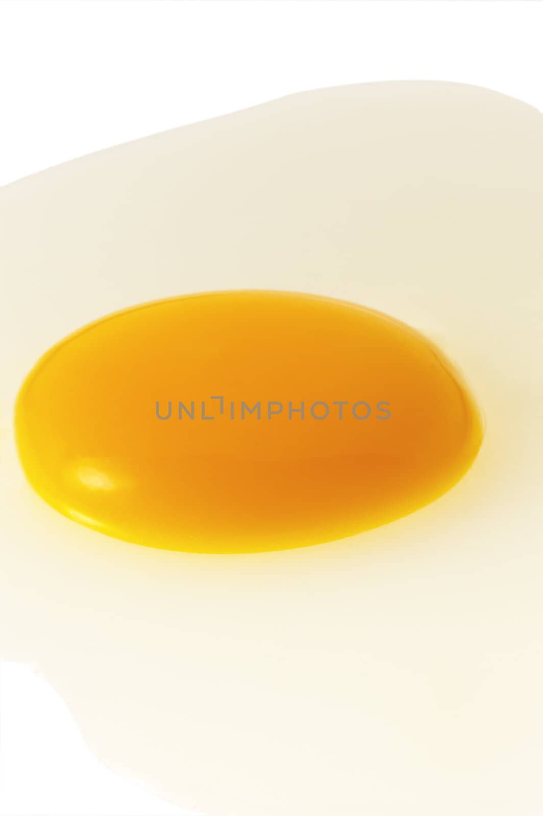 fresh egg opened on white light table