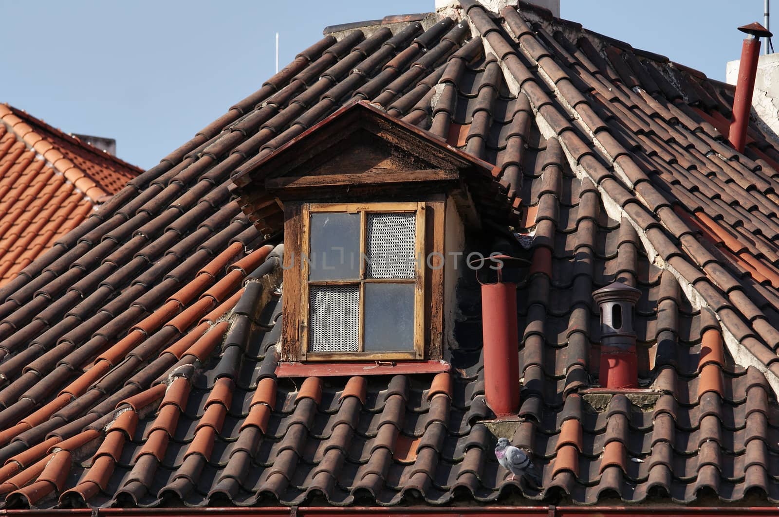 Shot of the Prague roofs, chimney shafts, windows and dove. Typical roof of historic building in historical centre of the Prague. Prague, Czech republic, Europe.