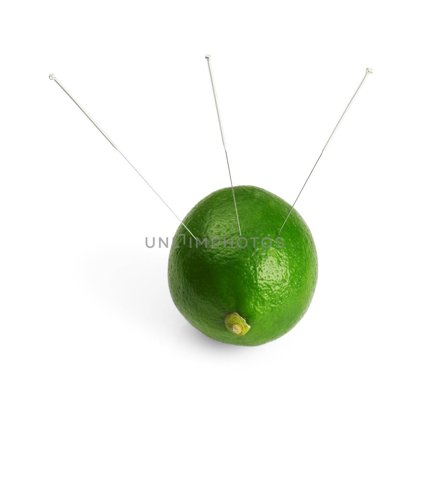 lime with acupuncture needles isolated on white background