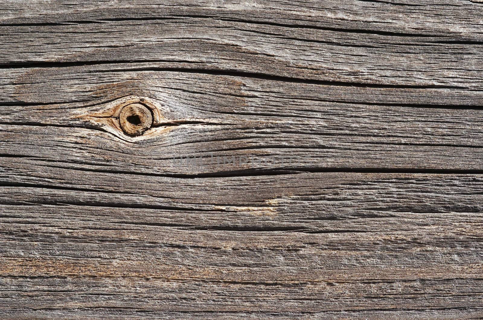 Detail of the wood texture with nob - abstract