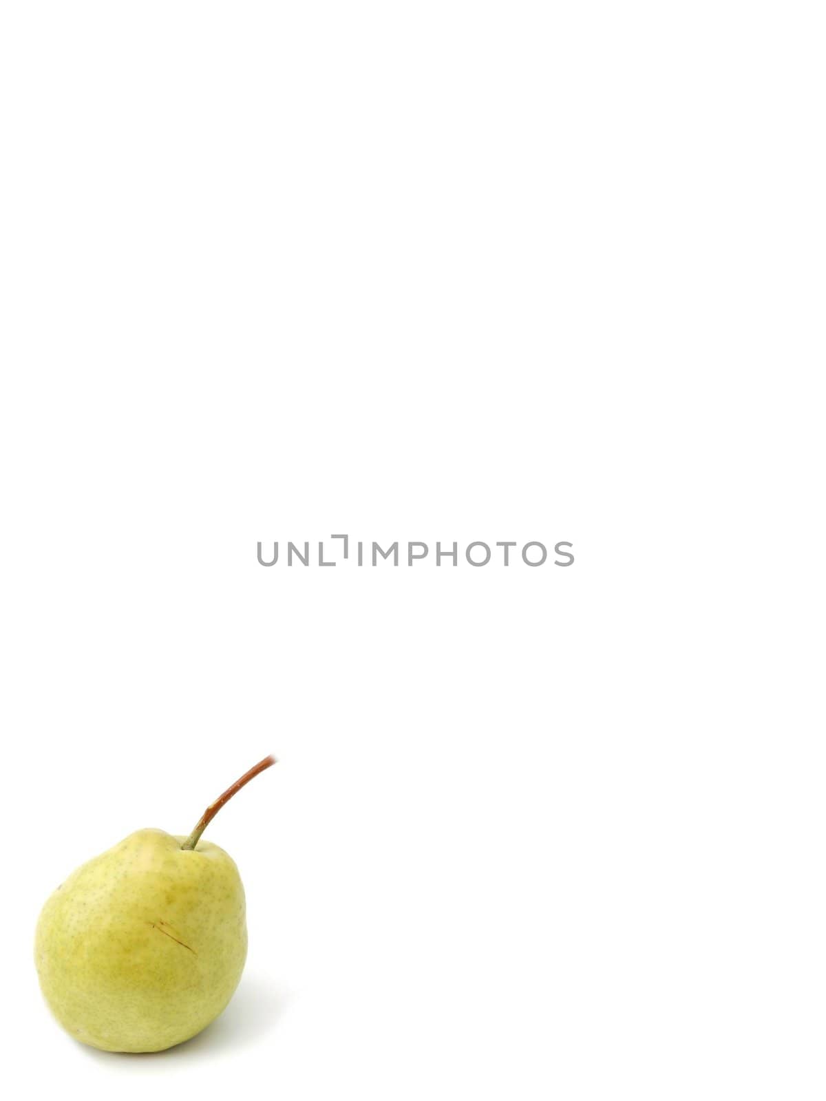 one pear by nehru