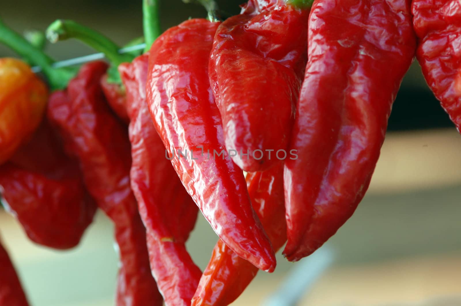 red pepper by nehru