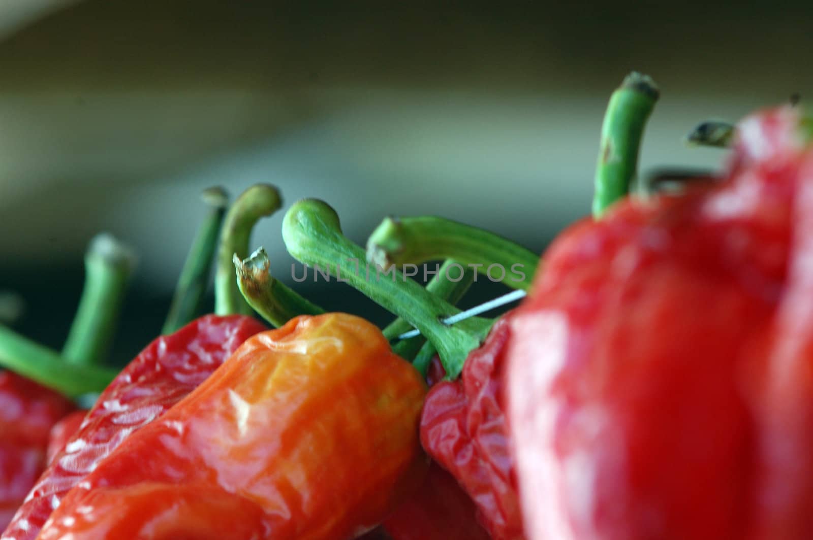 red pepper by nehru
