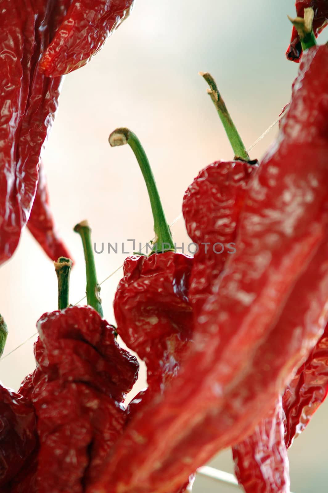 red pepper,dried
