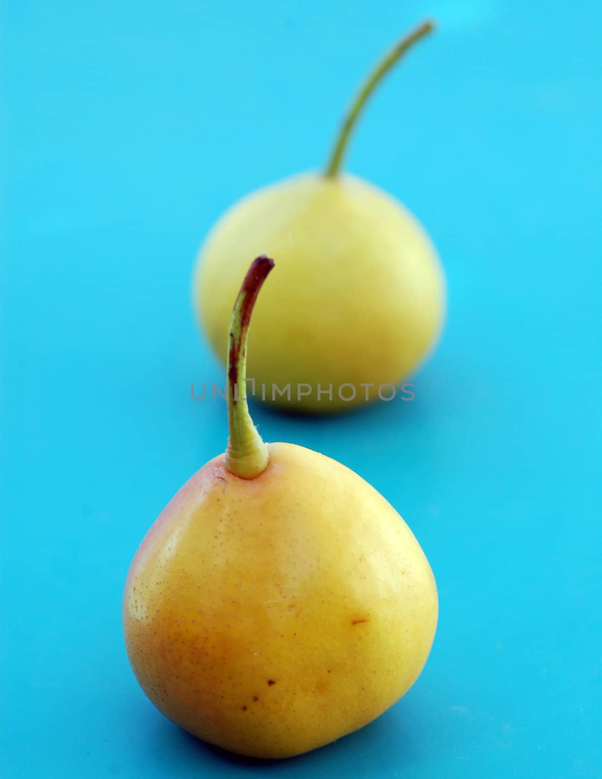 two pears by nehru