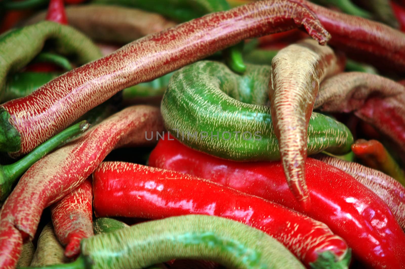 red pepper by nehru