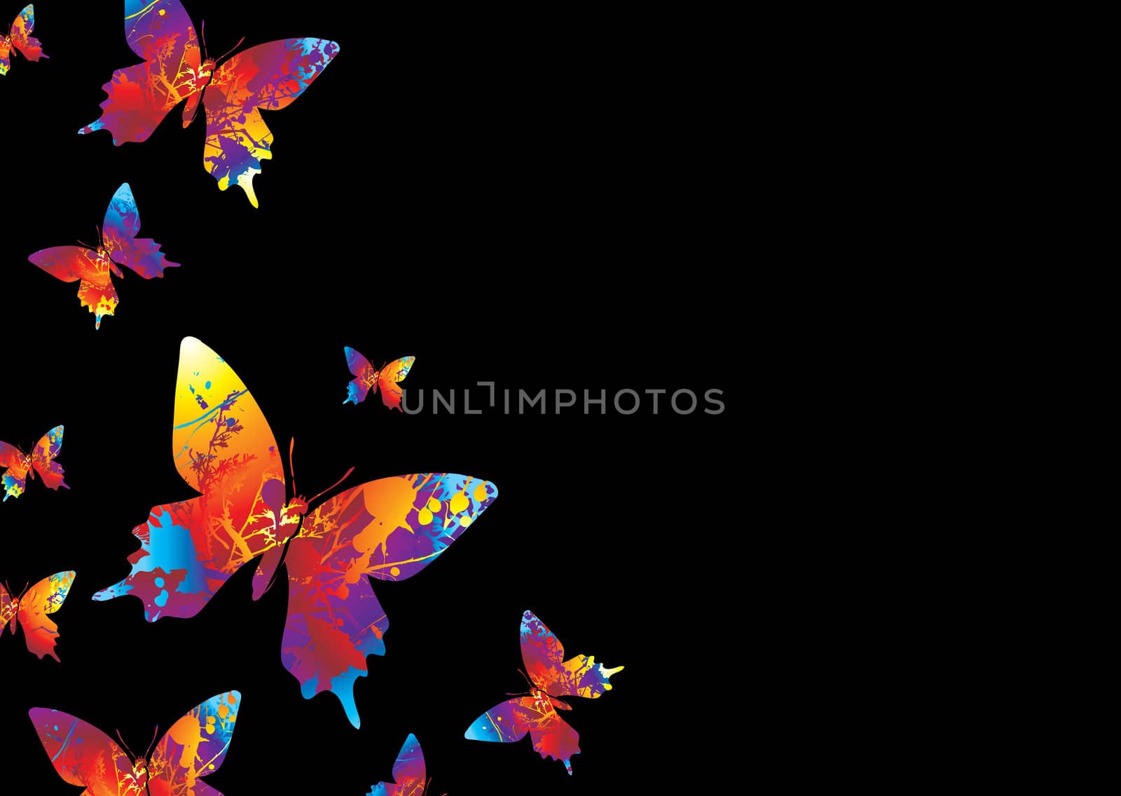 bright butterfly by nicemonkey