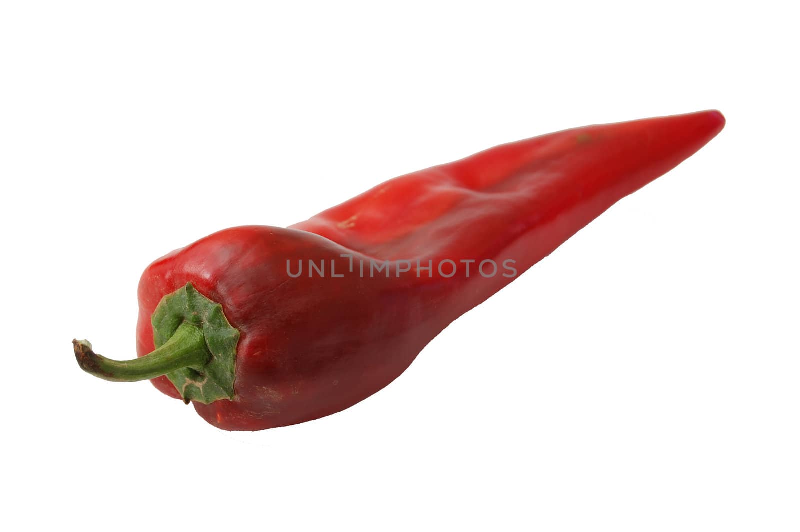 red peper by nehru