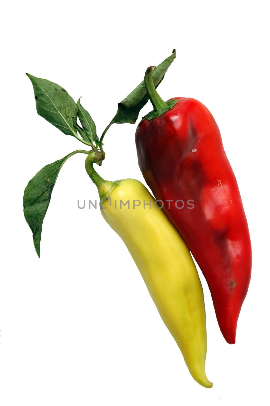 red and green pepers with leaves