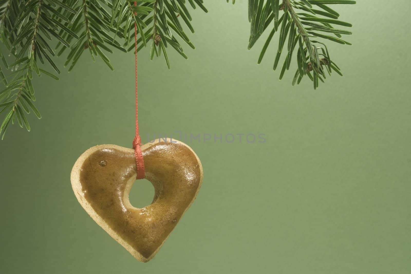 Christmas cookie hanging from fir branch by timscottrom