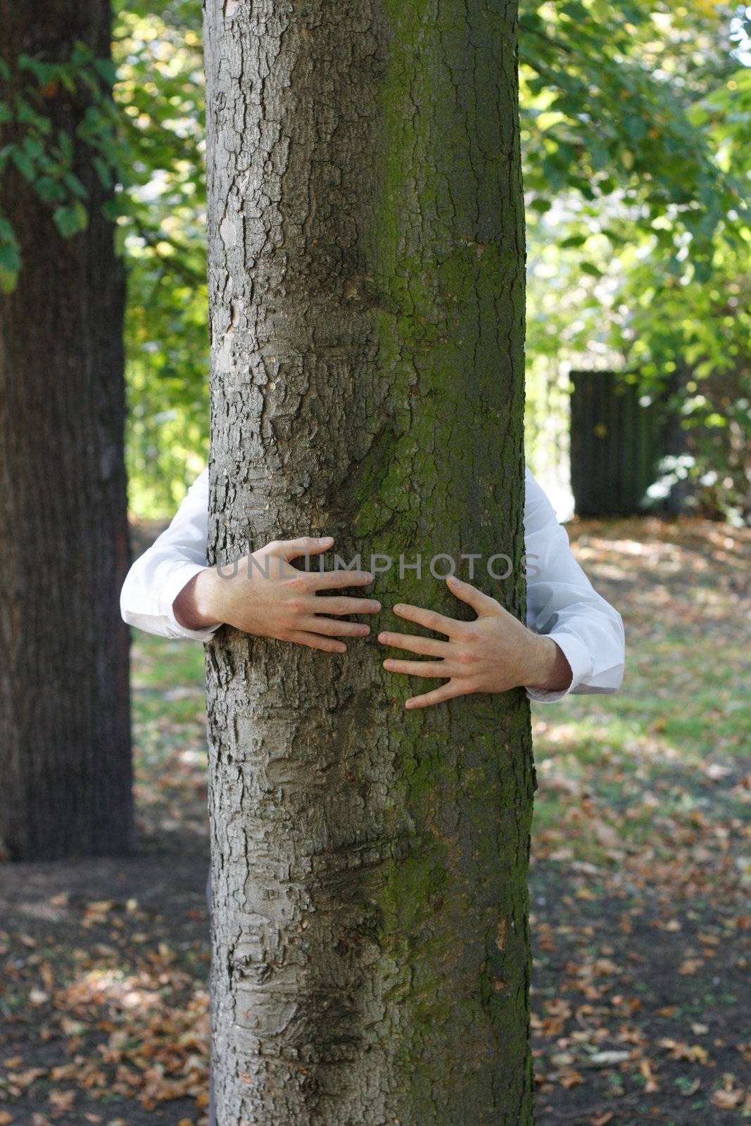 A man hugging a tree