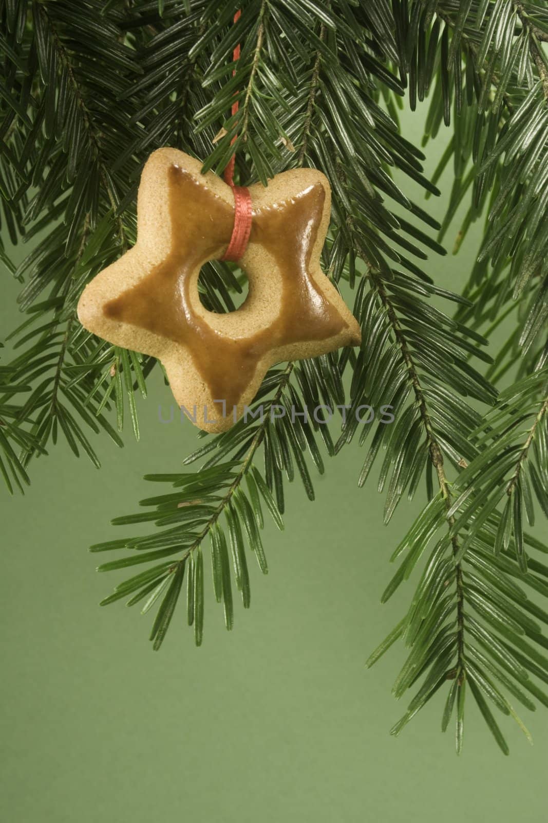 Star Christmas cookie hanging by ribbon under fir branch and isolated on green paper
