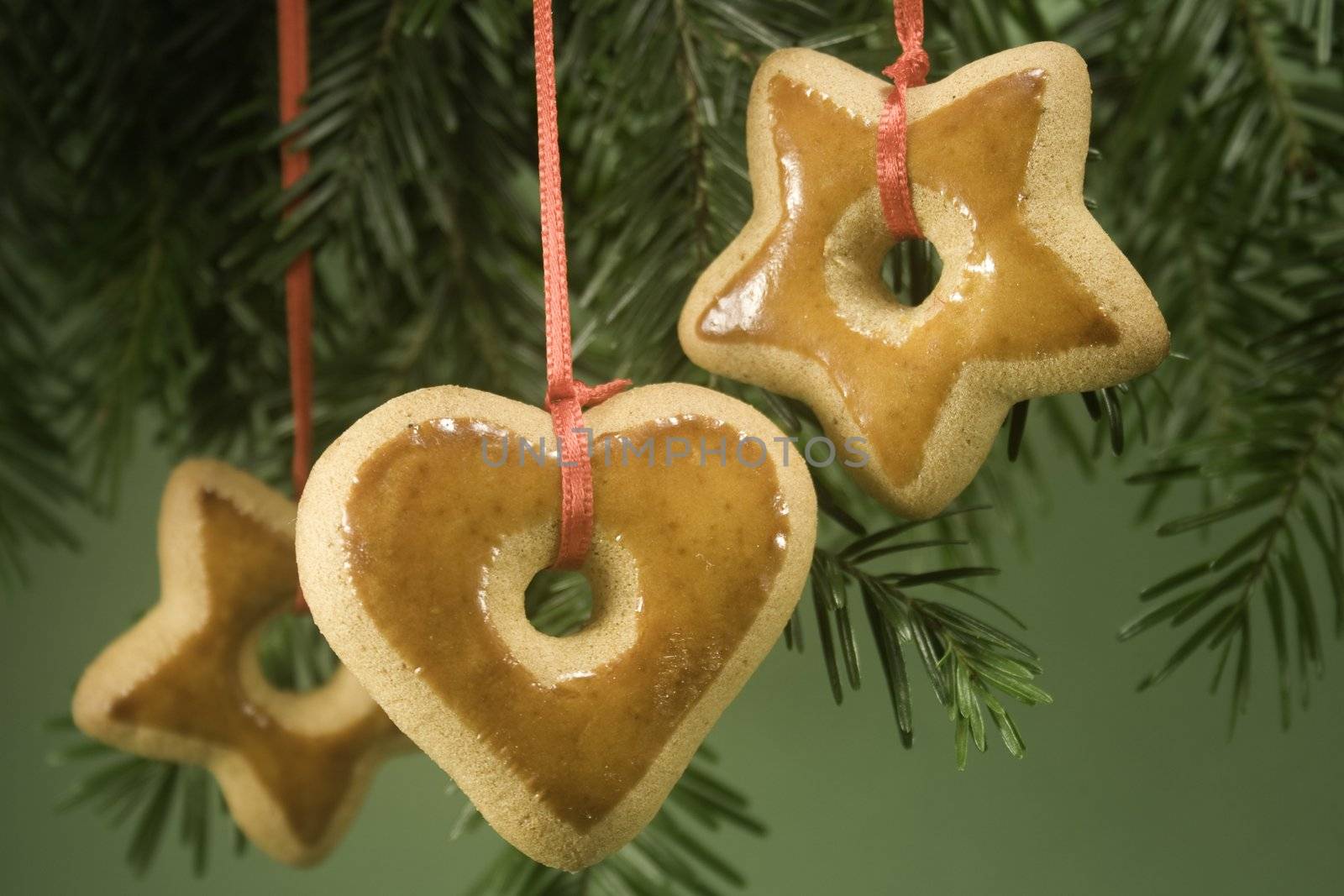 Gingerbread ornaments hanging on fir branch and isolated against green paper