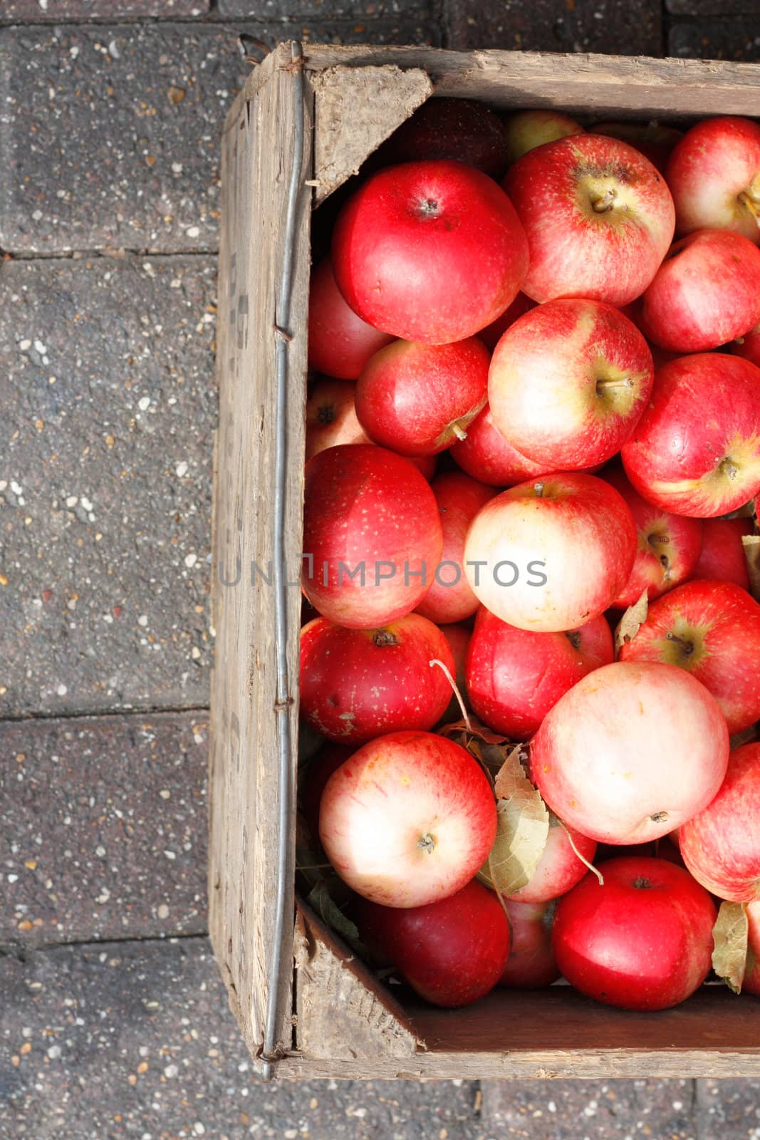 Apples by leeser