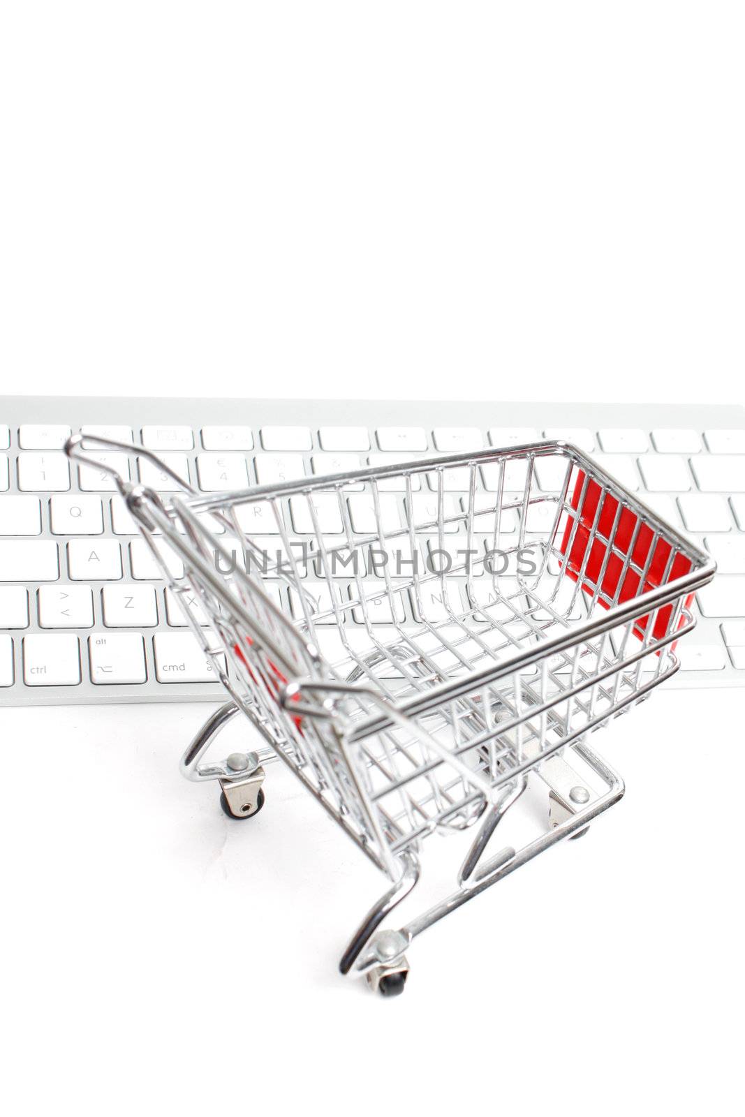 Online shopping by leeser