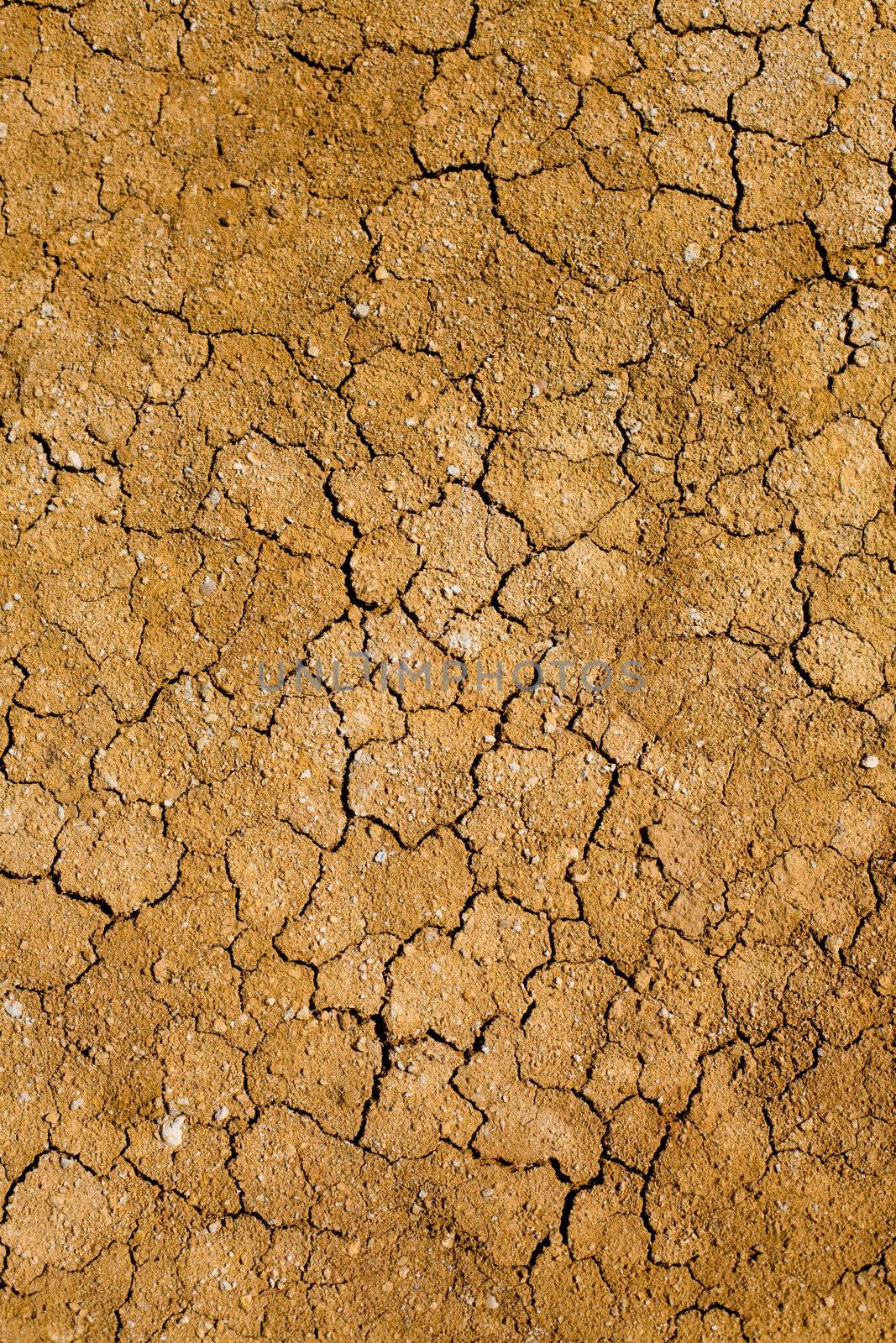 
Crackles in the ground on a dehydrated soil
