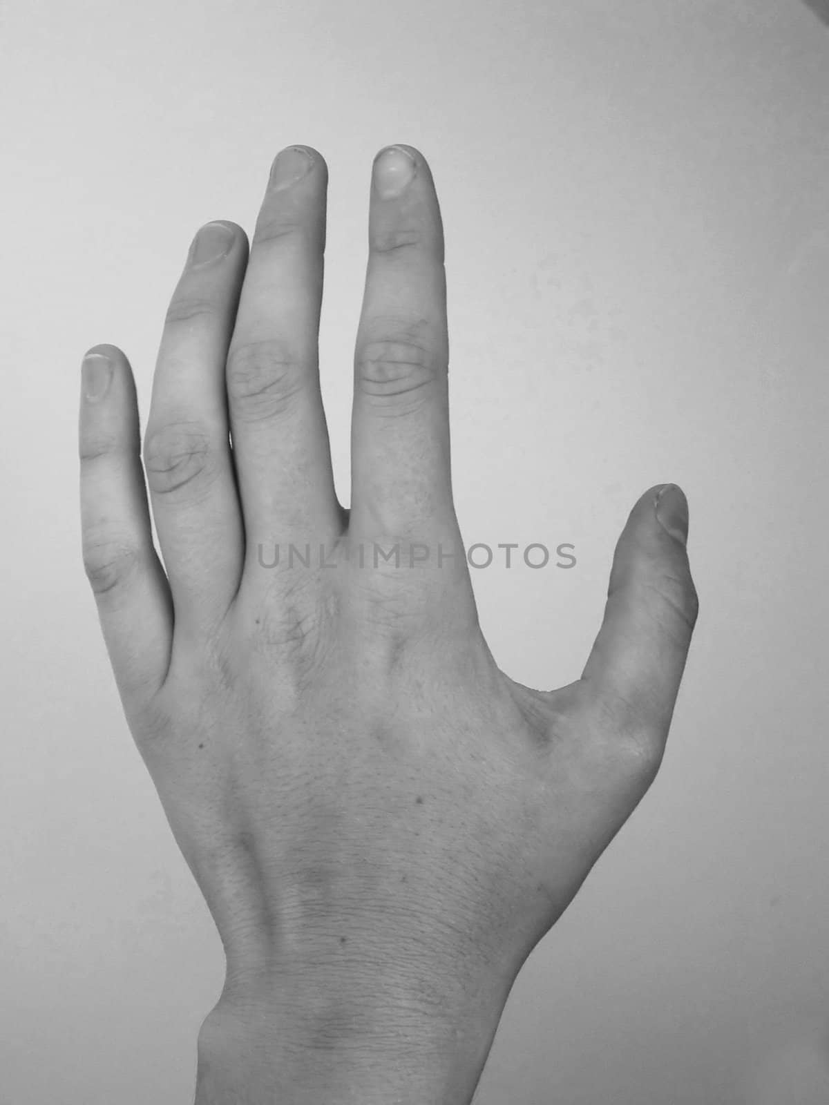 detail pictures of a hand