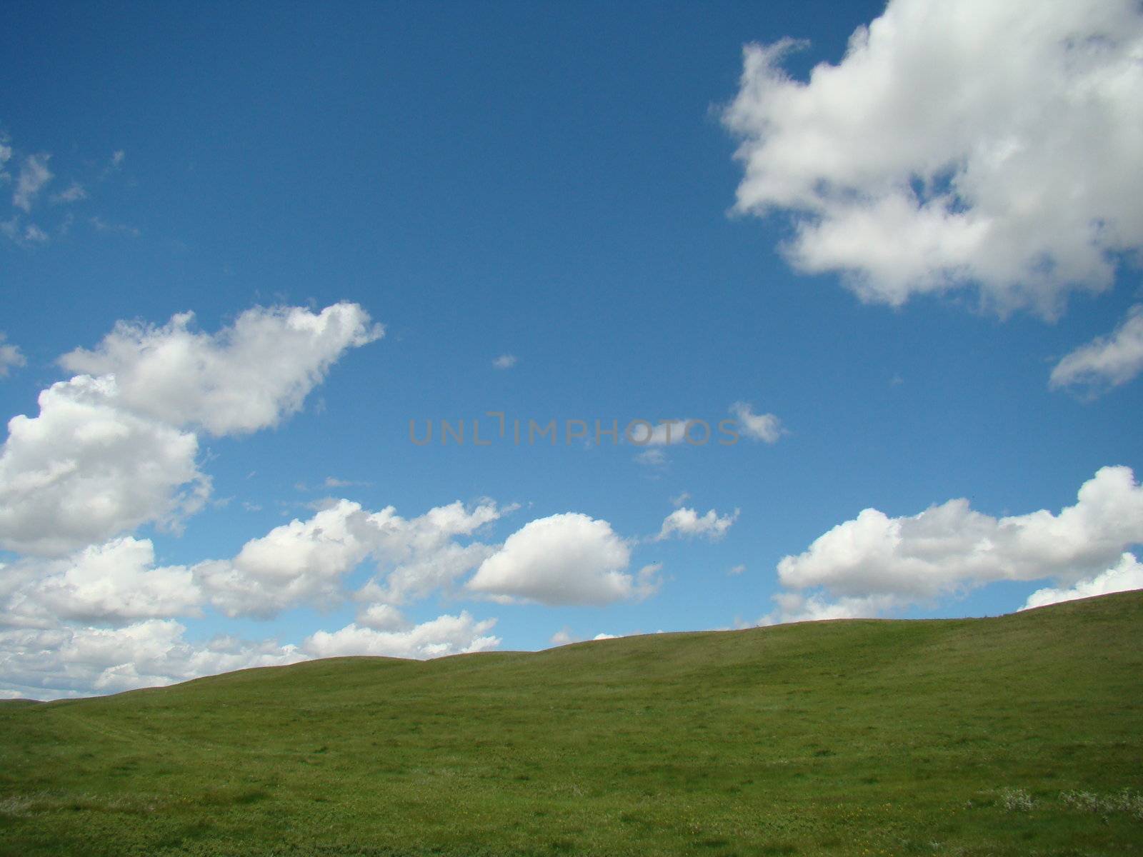 background shot of blue sky clouds and field