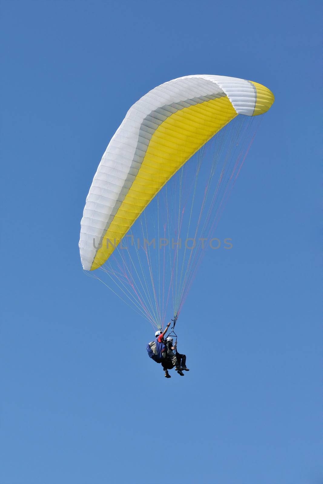 Tandem paragliders - instructor with young amateur, on a sunny summer day