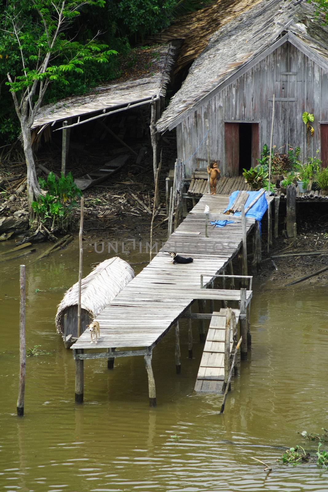 A small hut next to the Amazon River.