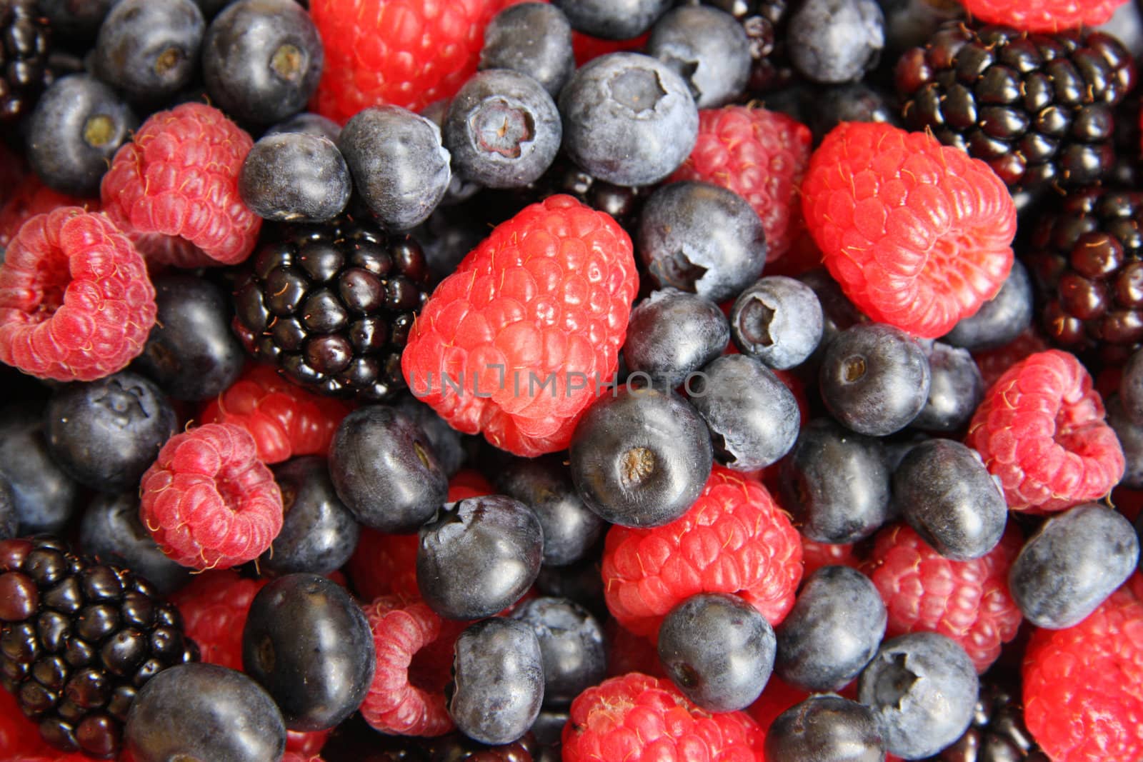 Background of variety of fresh berries