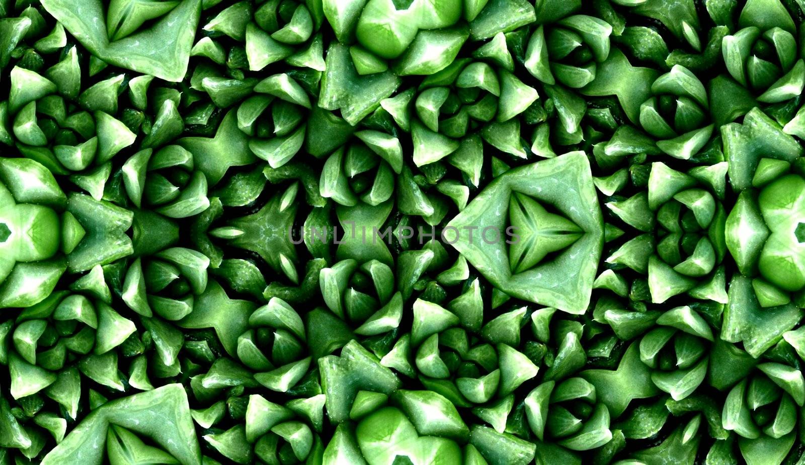 A seamless pattern background made from some smooth cactus leaves.
